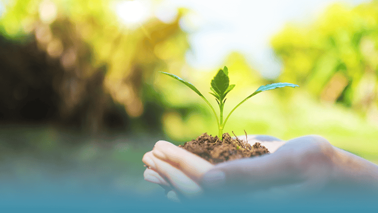 hands holding dirt and a growing plant demonstrating building hope during challenging times