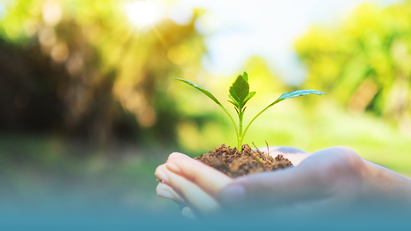 Building Hope During Challenging Times